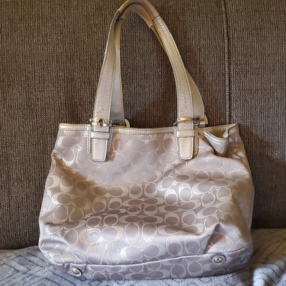 Silver Coach Purse